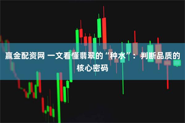 赢金配资网 一文看懂翡翠的“种水”：判断品质的核心密码